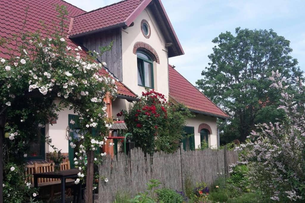 Entspannen Im Dorf Am See Zahren エクステリア 写真